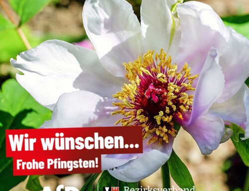 Frohe Pfingsten